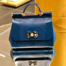 Blue Hand Bag D&G Accesorii